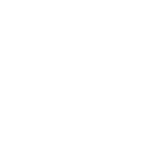 Kashani-Holding